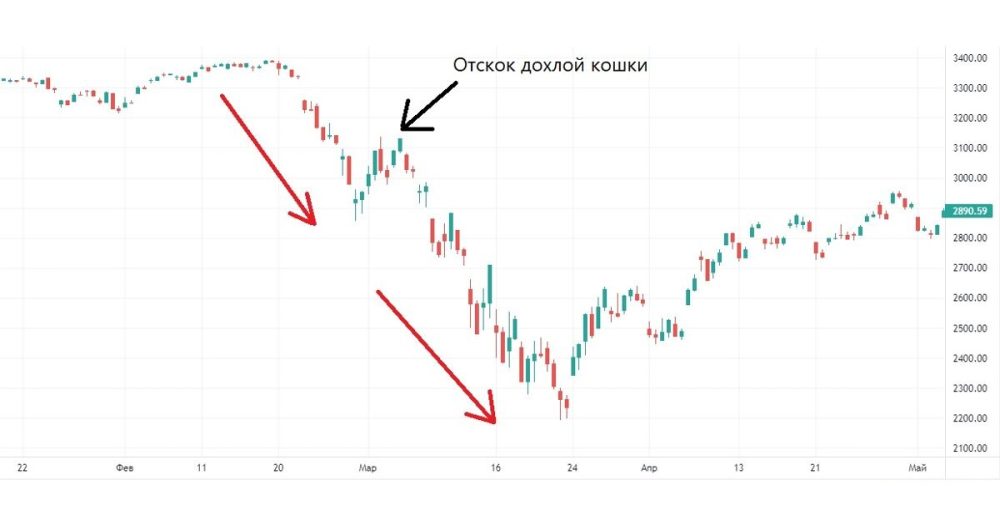 Подрывная реверсия - как кошка в трейдинге разорвала все петли и обрушила безжизненные рынки