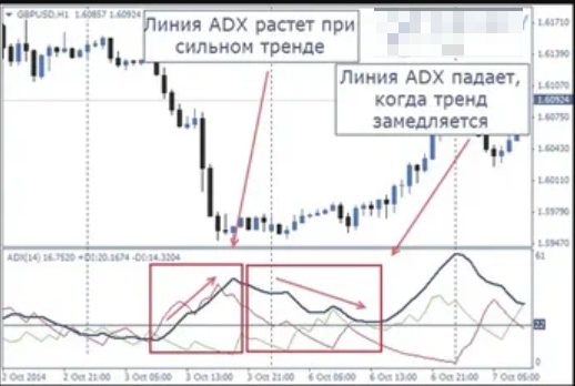 ADX Trend Strength – характерные особенности инструмента технического анализа